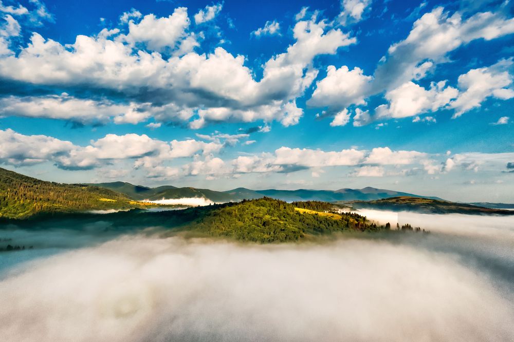 Photograph by Niko Lazur