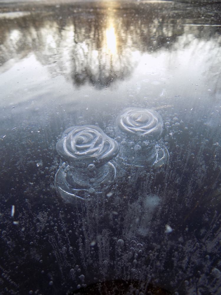 Цветущий лёд.