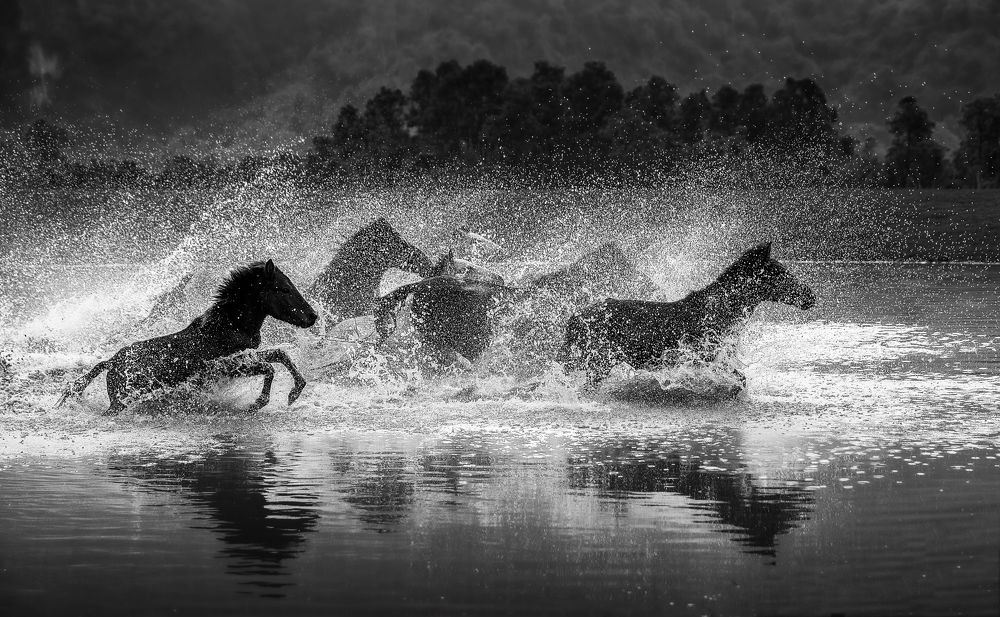 Photograph by Tuấn Nguyễn Tấn