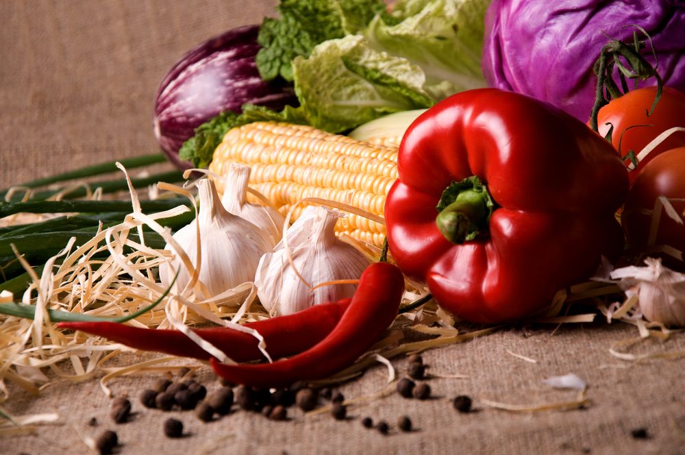 Фотография автора Екатерина Ефанова