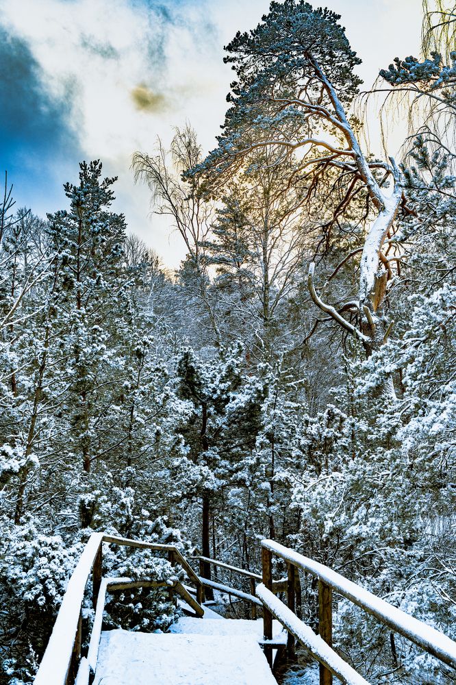 Photograph by Антон Парфентьев