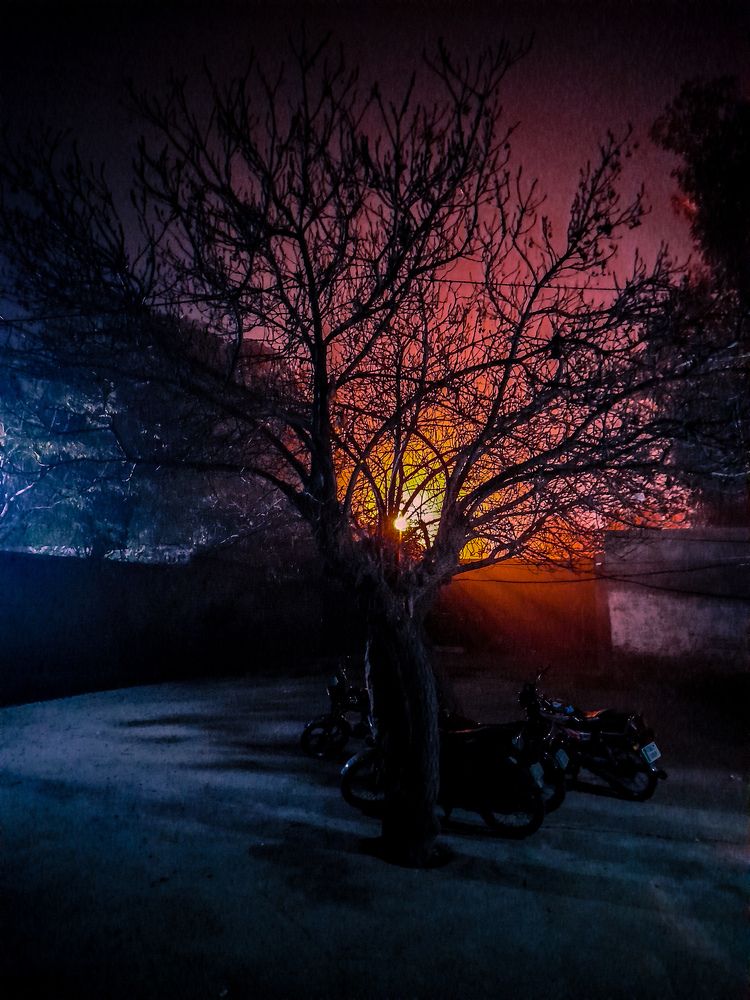 Photograph by HAFIZ MUHAMMAD KHAN