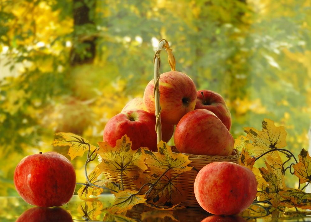 Photograph by Galina Gorshkova