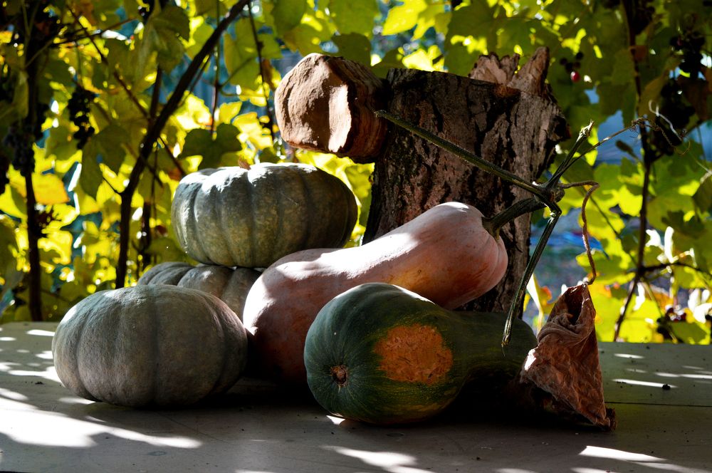 Photograph by Юрий Солодовников