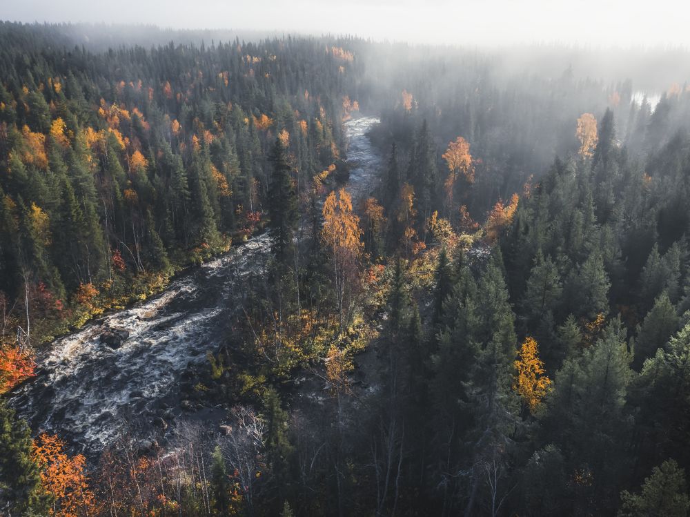 Photograph by Андрей Сачков