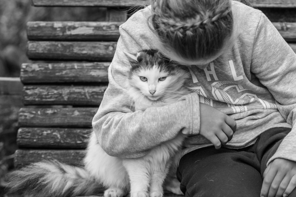 Утоли мои печали