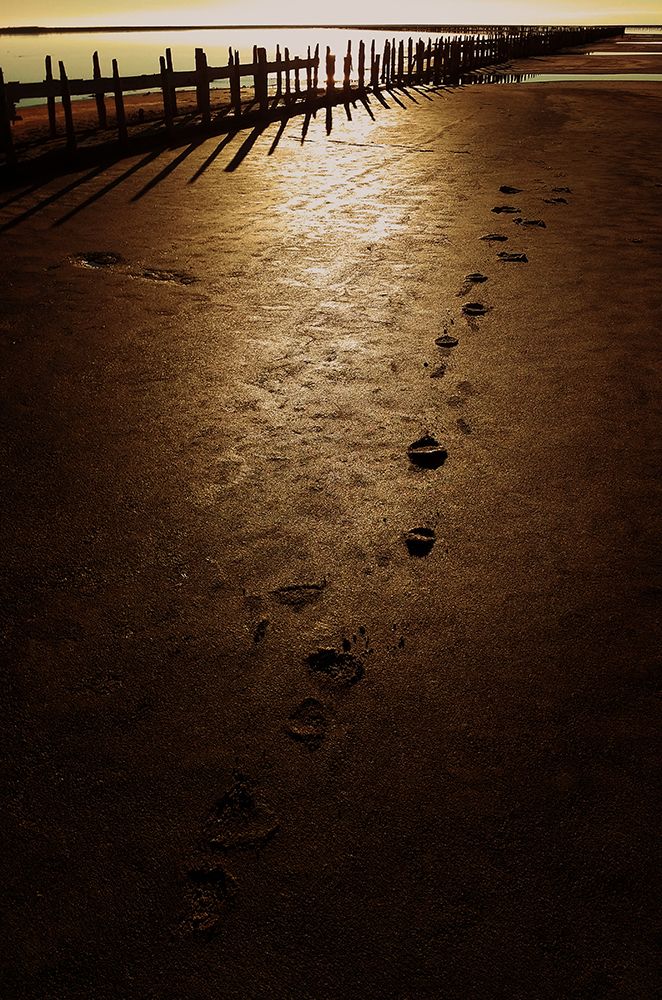 Photograph by Ольга Пивень