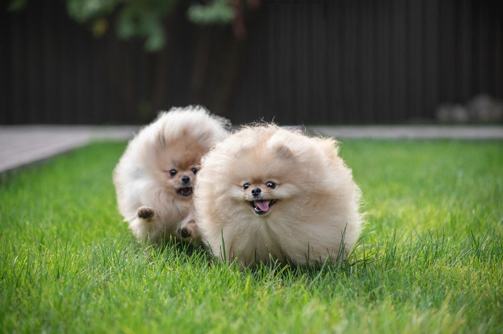 Photograph by Анастасия Мельник