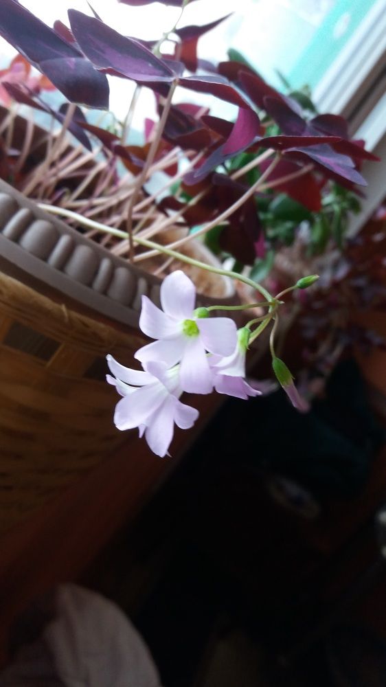 Photograph by Евгения Шеметова