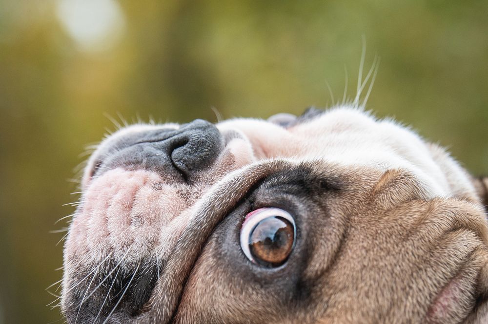 Photograph by Анастасия Мельник