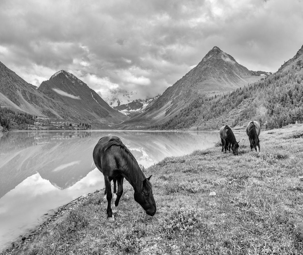 Photograph by Николай Васильев