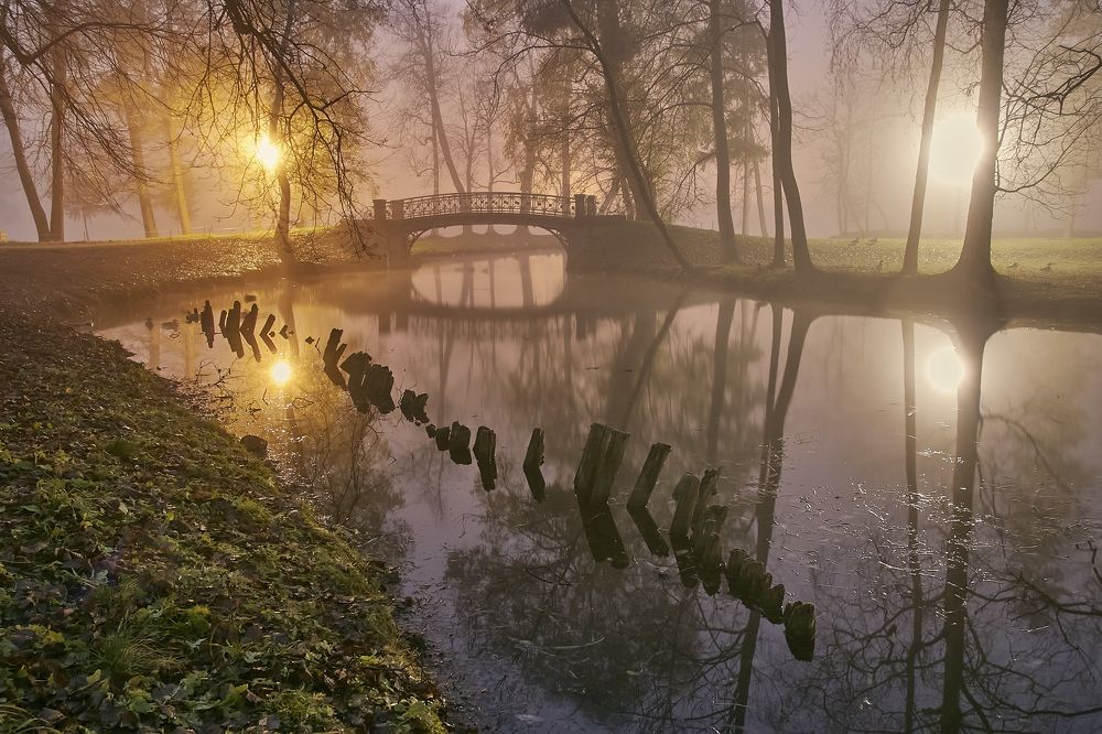 Photograph by Петрушин Сергей