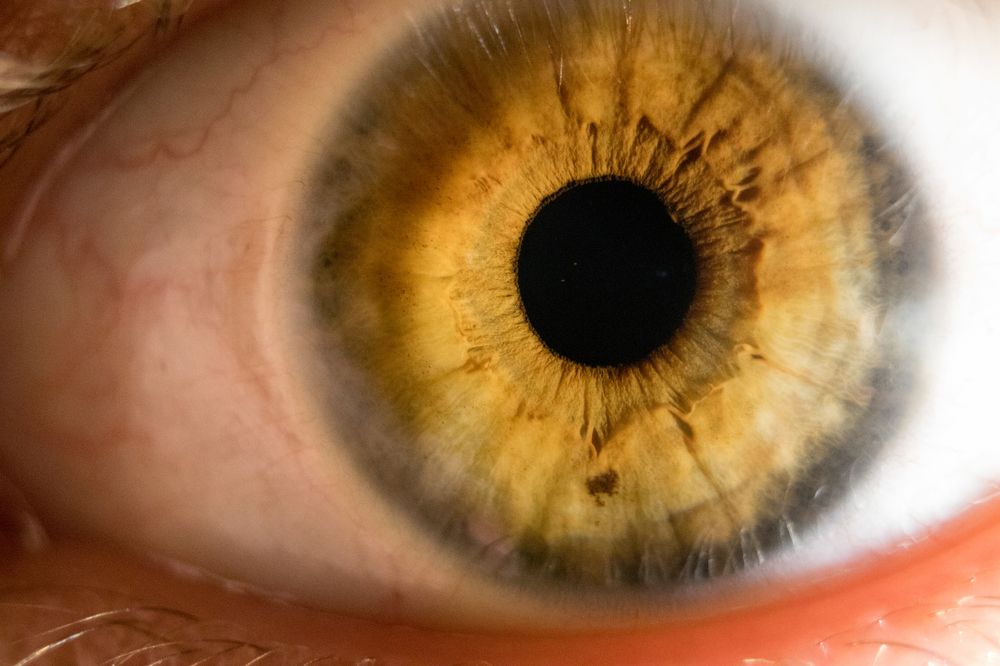 Photograph by Ľuboš Pítek