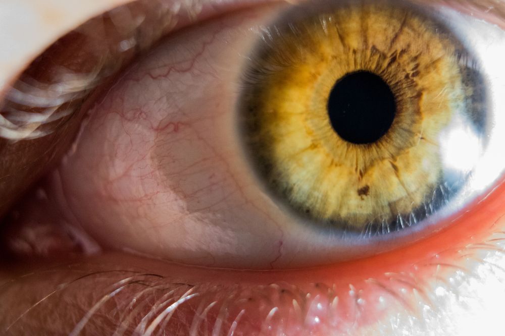 Photograph by Ľuboš Pítek