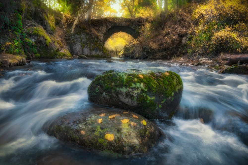 The old bridge changes at autumn