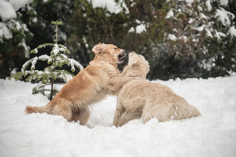 Photograph by Анастасия Мельник