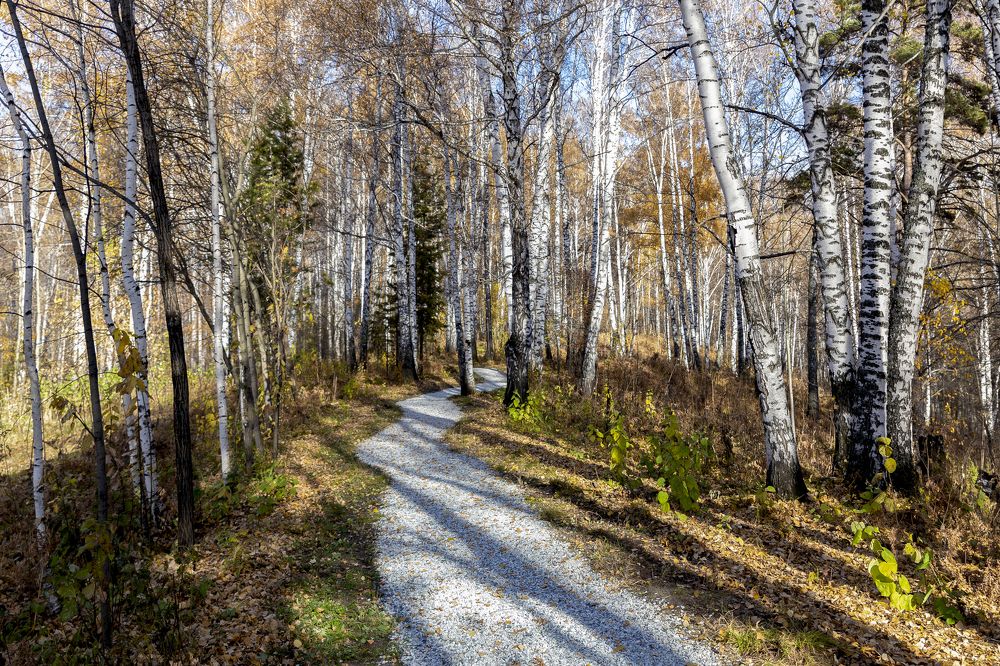 Photograph by Евгений Вяткин