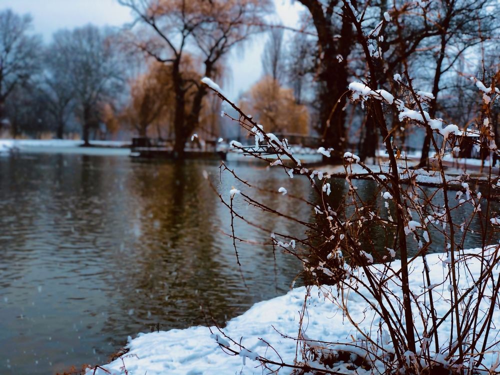 Зима в городском парке