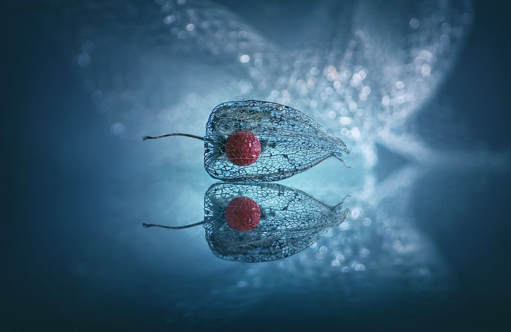 Photograph by Petya Lazarova