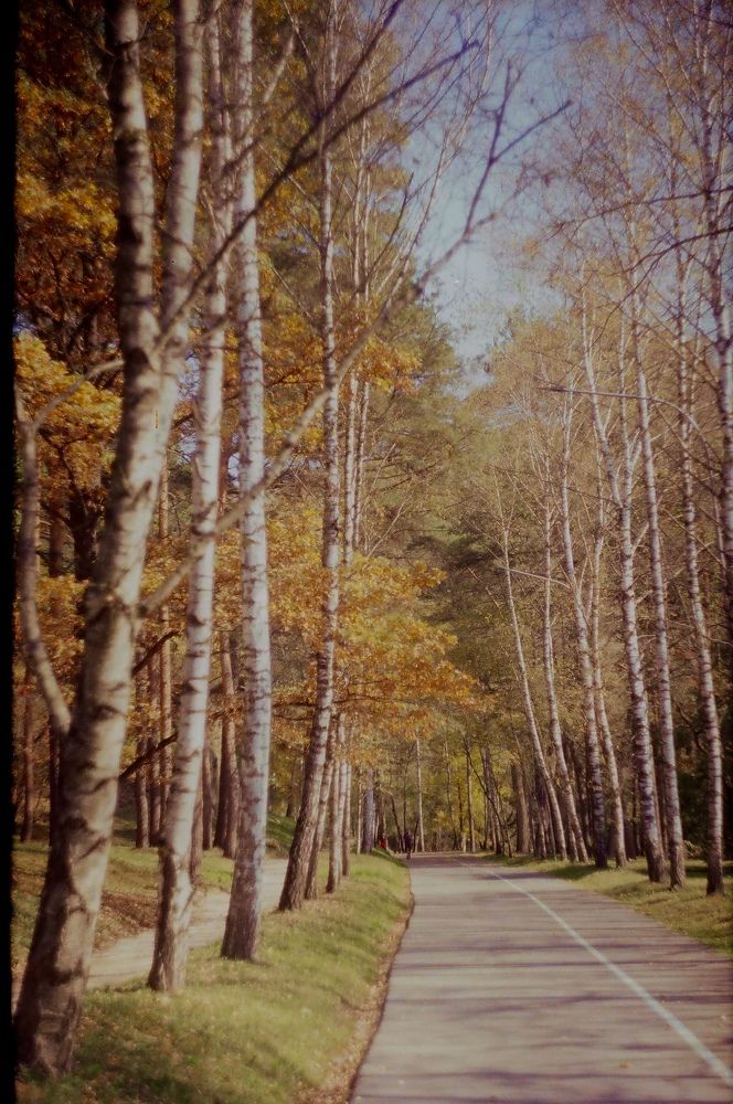 Кисловодский  парк. Осень