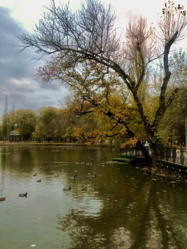 Фотография автора Денис Коваленко