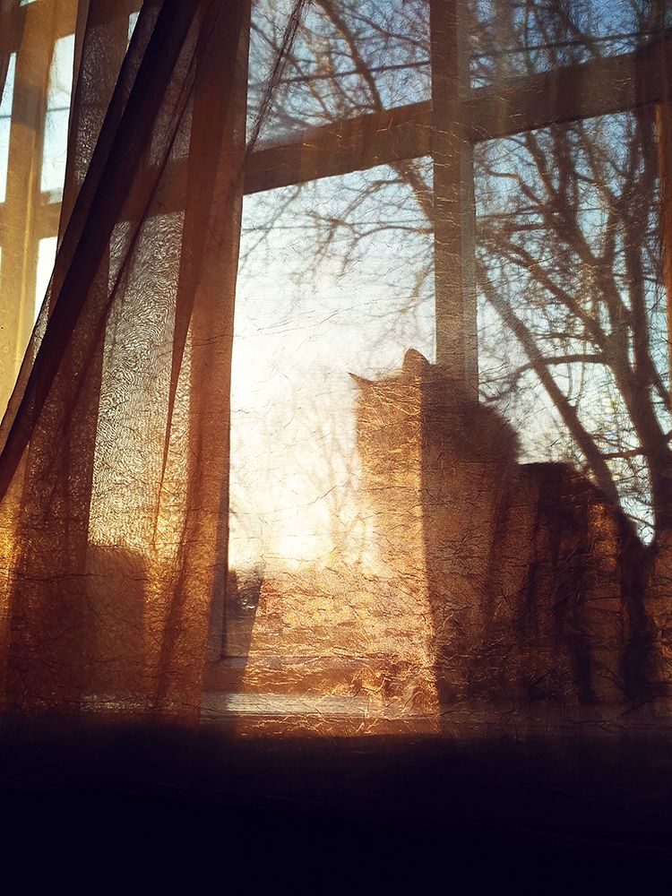 Photograph by Ольга Пивень