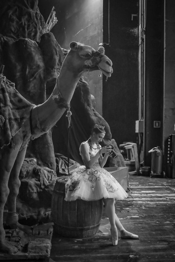 Фотография автора Алексей Цилер