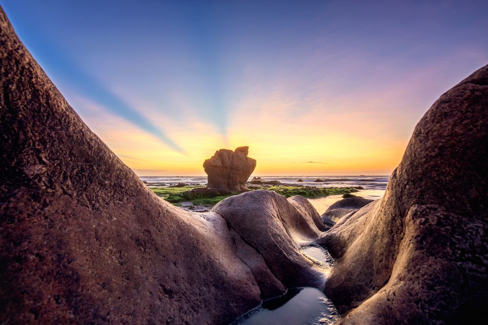 Photograph by Tuấn Nguyễn Tấn