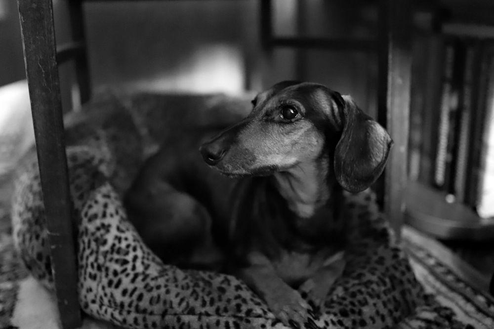 Photograph by Константин Лагоденко