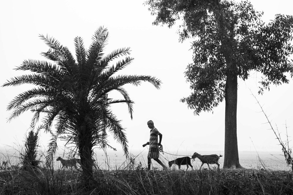 Photograph by Santarpan Roy