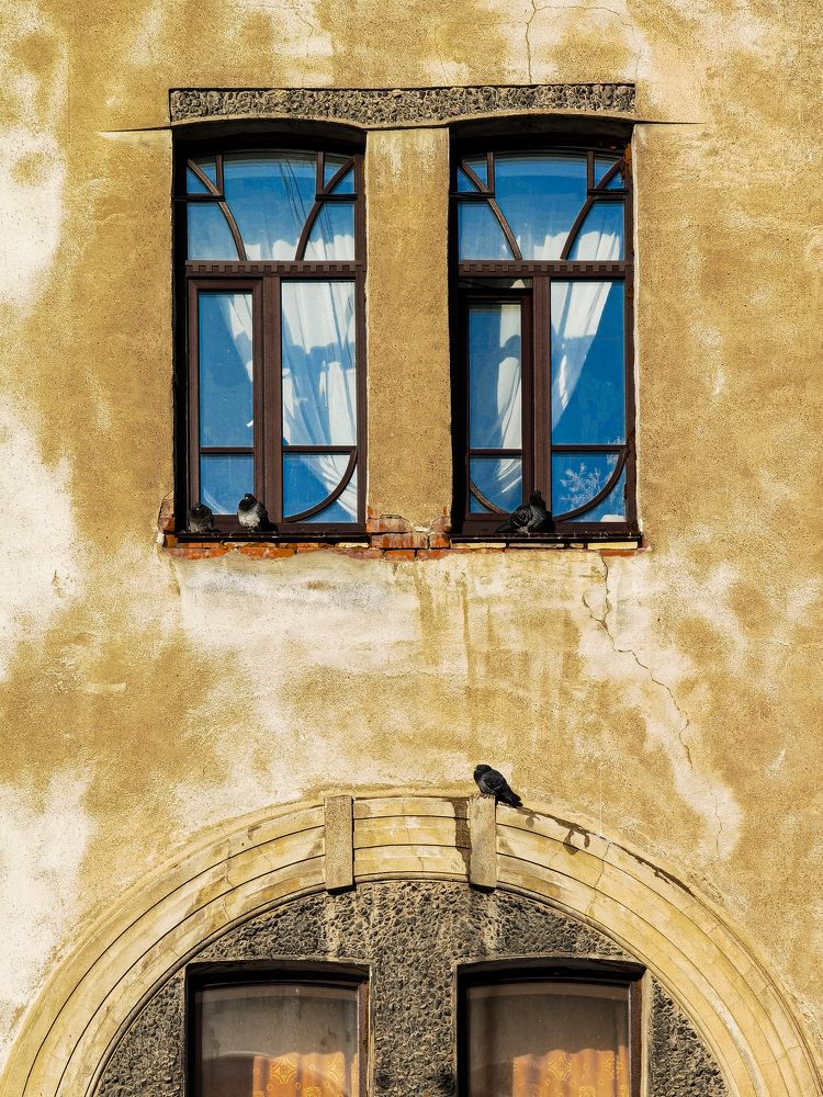 Photograph by Алексей Степаненко