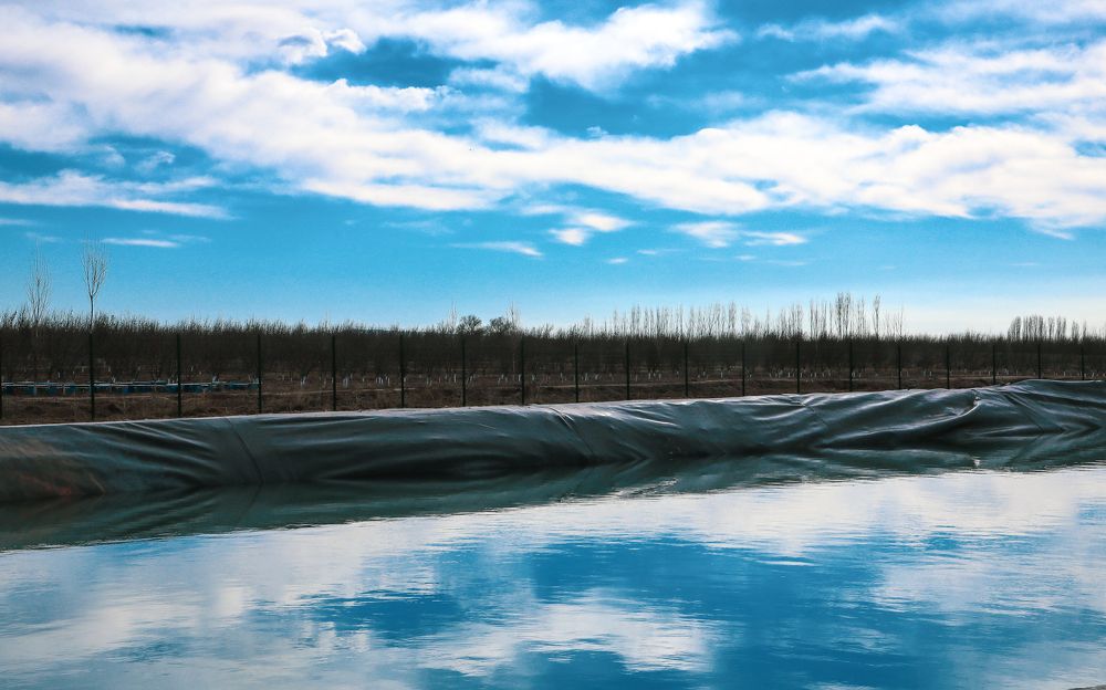 Photograph by Нурманова Мадина