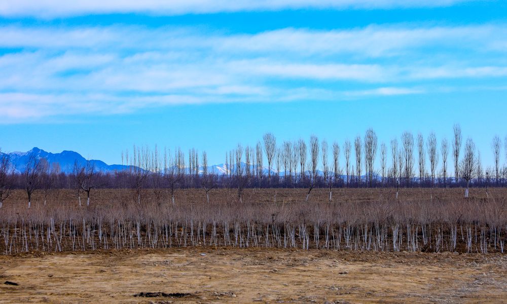 Photograph by Нурманова Мадина