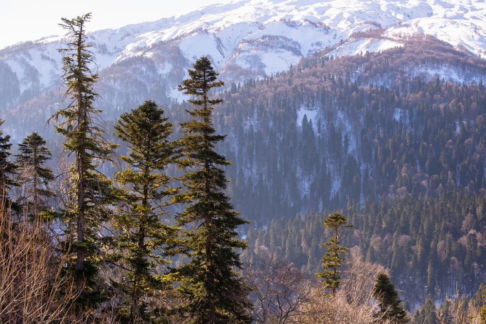 Photograph by bornaum