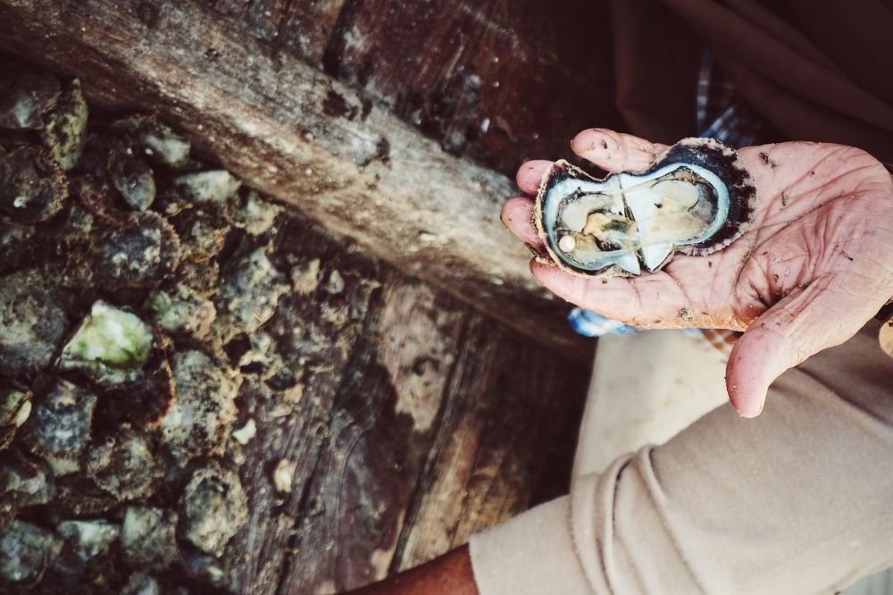 Photograph by Marina