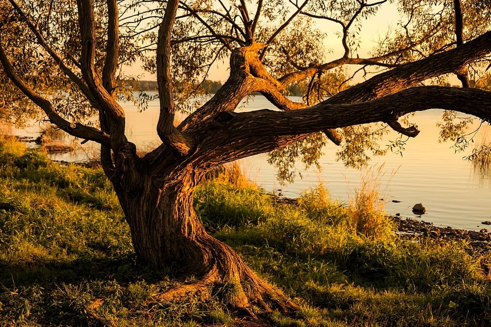 Photograph by Сэрж По