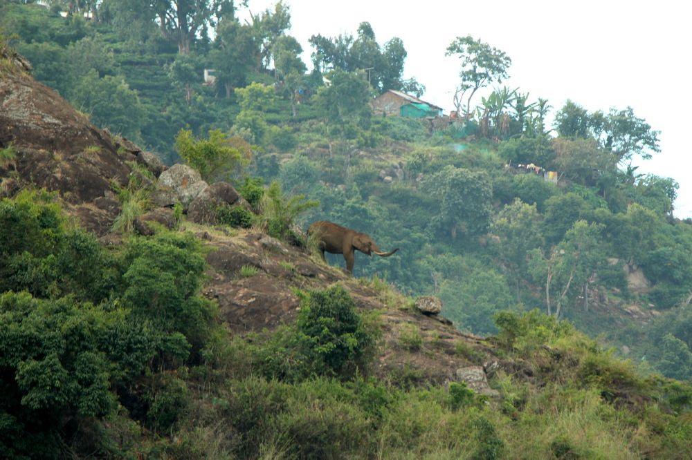 Фотография автора Chandra sekar