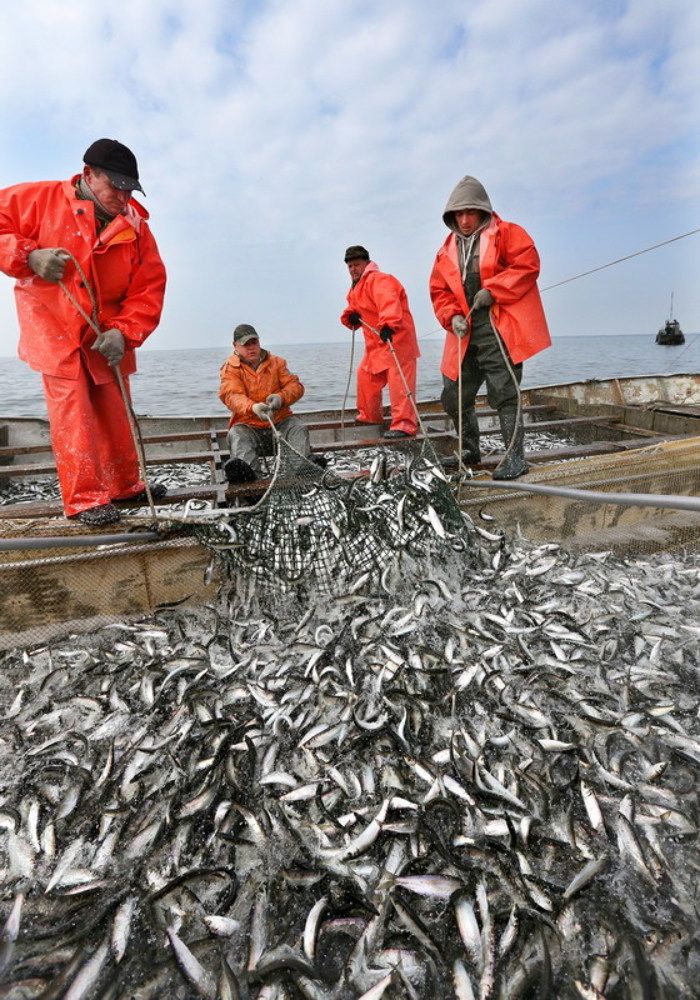 Photograph by Эдуард Молчанов