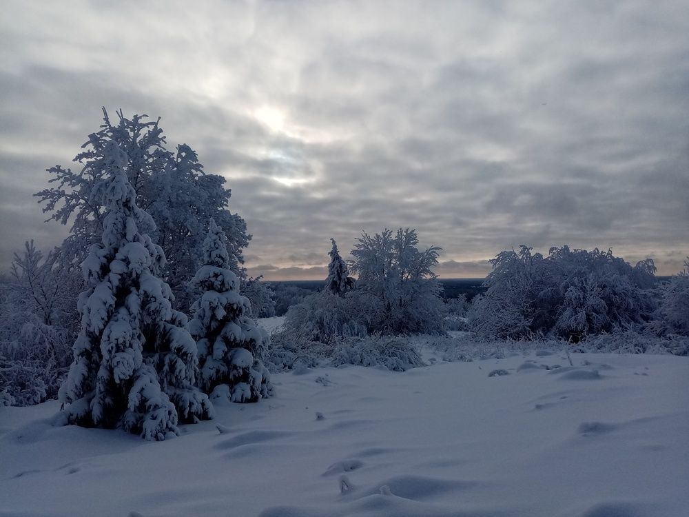 Photograph by Наталья Терентьева