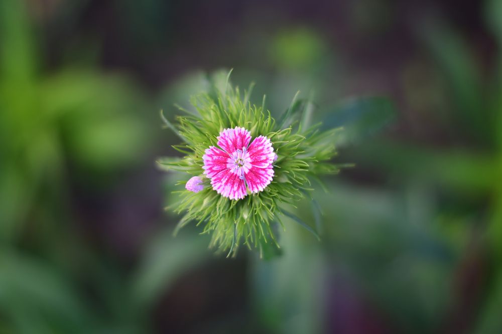 Raw beauty