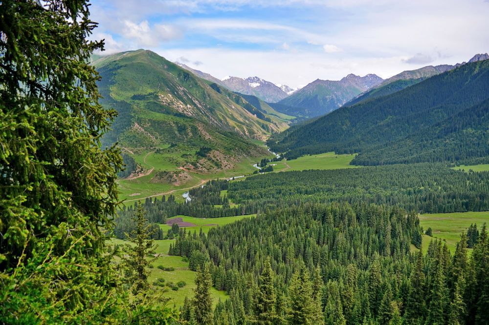 Photograph by Andrey