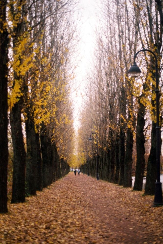 Photograph by София Гаязова