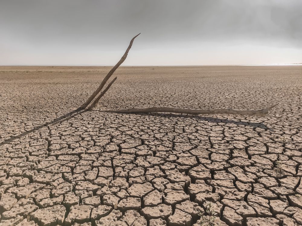 Photograph by Татьяна Телешенко