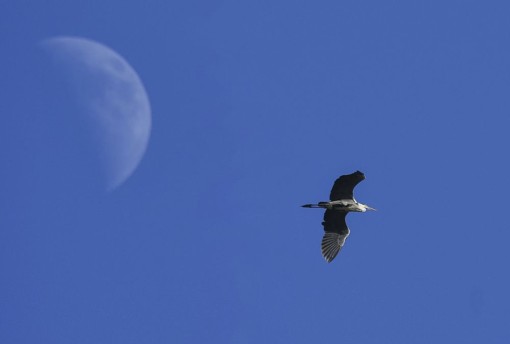 Photograph by MIKHAIL KALAGIN