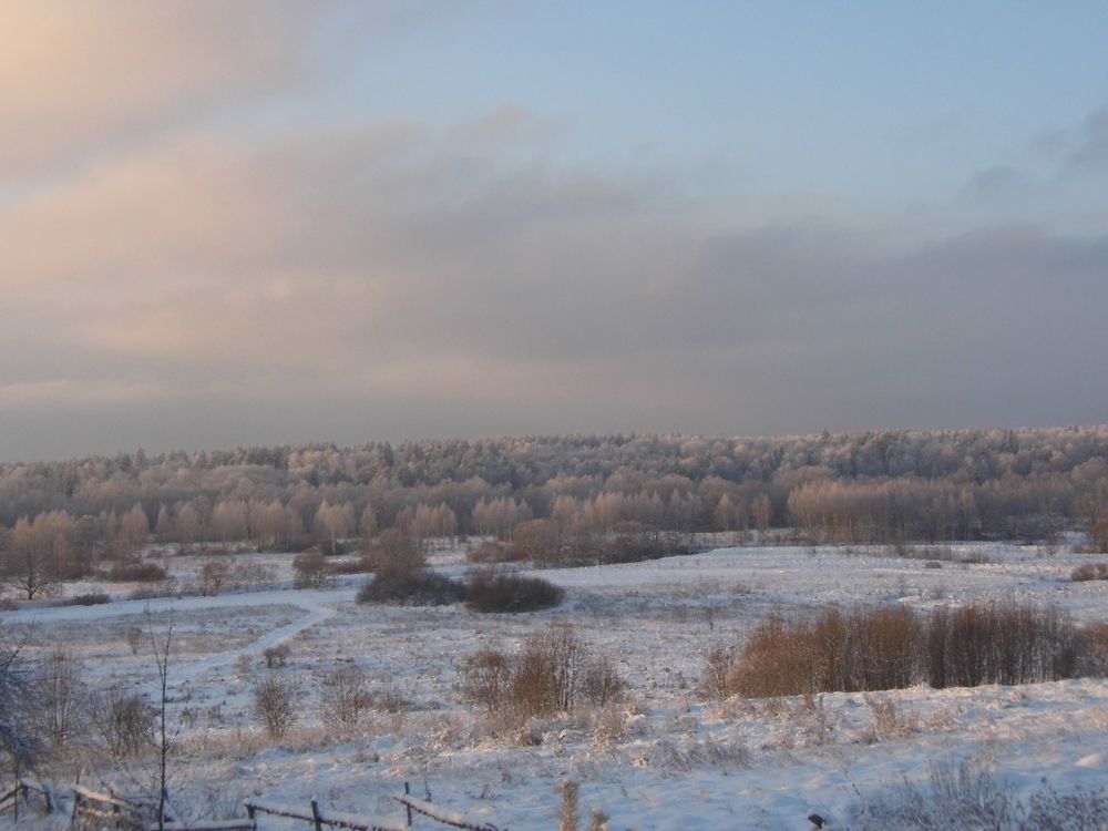 Photograph by сергей павлов