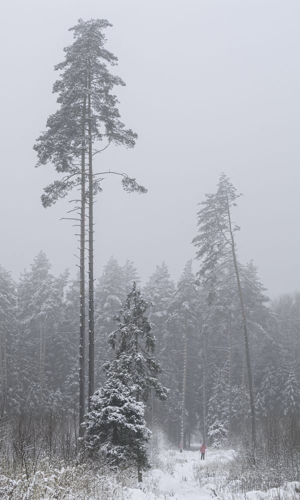 Photograph by Сергей Неудахин