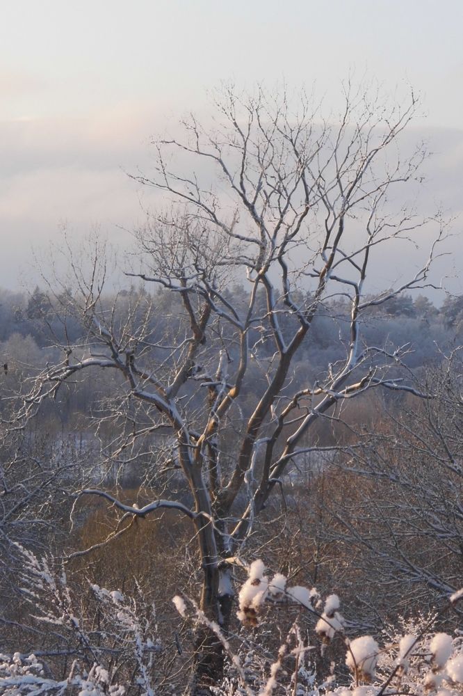 Photograph by сергей павлов