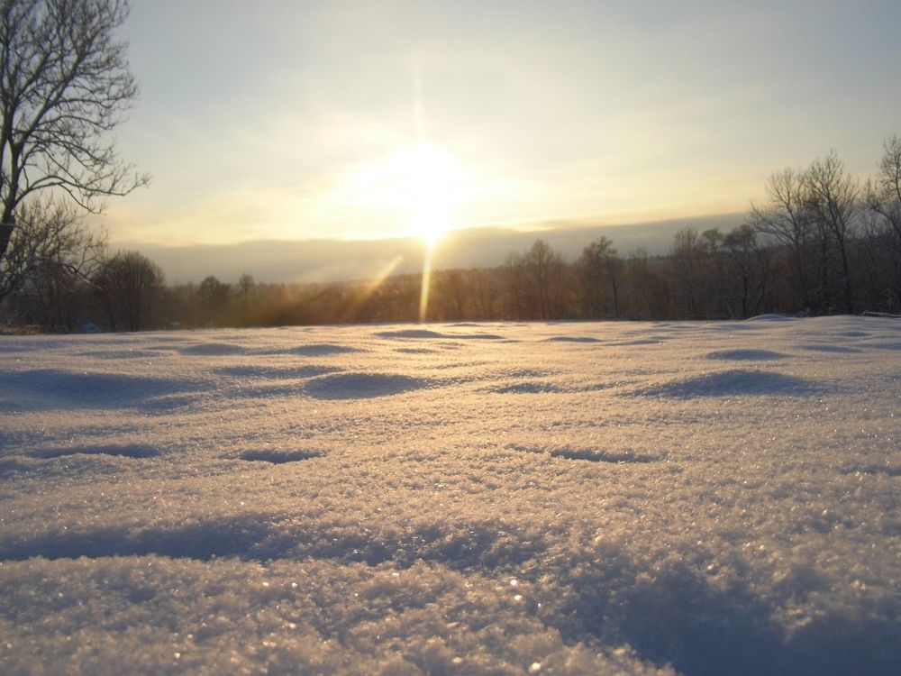 Photograph by сергей павлов