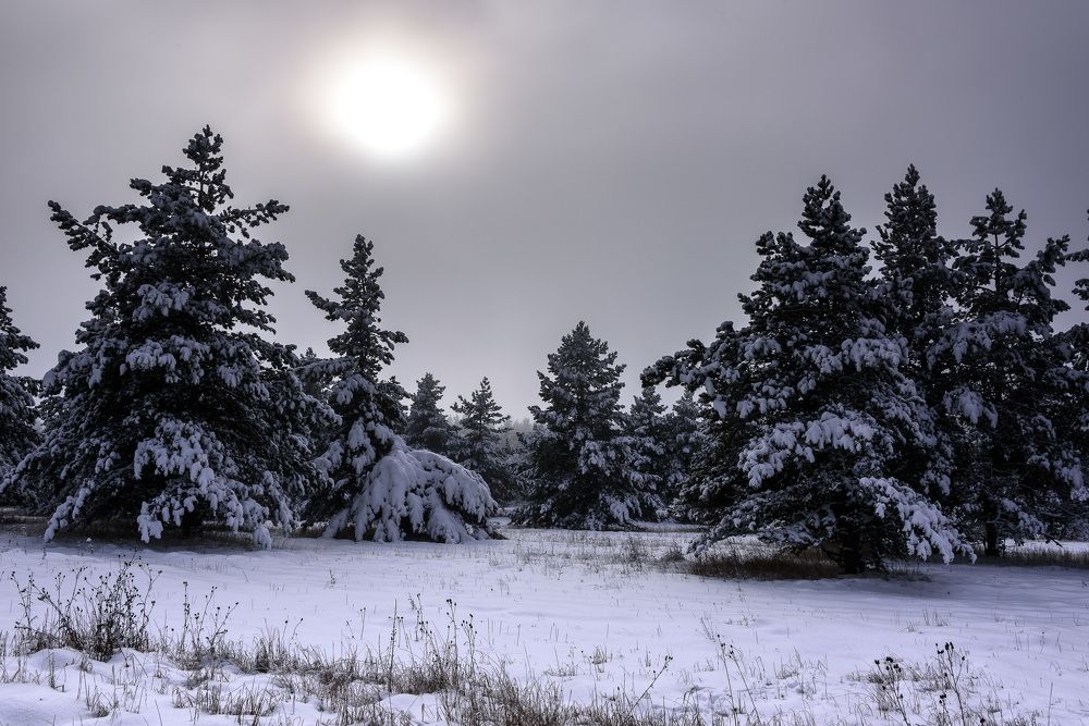 Photograph by Будаква Сергей