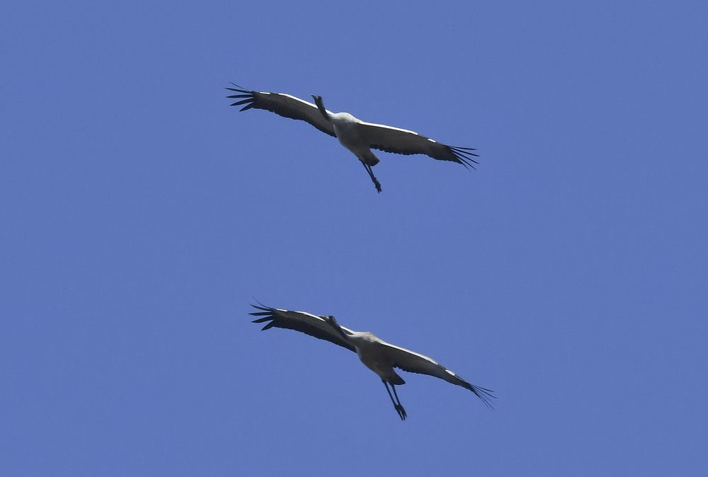 Photograph by MIKHAIL KALAGIN